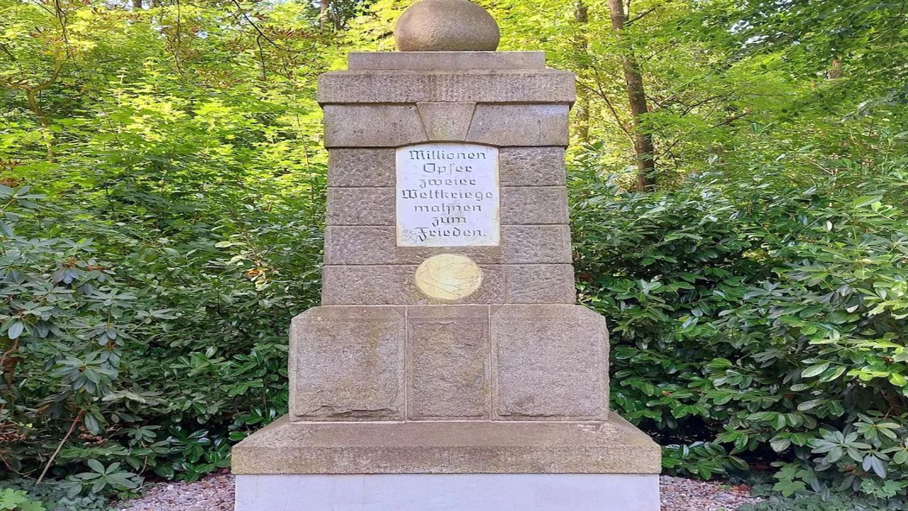 AreaSummer5KM AreaSummer5KM